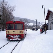 Zv�t�i