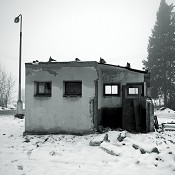 Zv�t�i