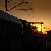Zv�t�i