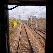 Zv�t�i