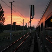 Zv�t�i