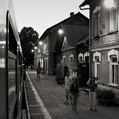 Zv�t�i