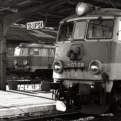 Zv�t�i