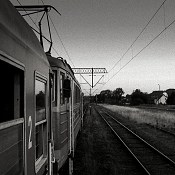 Zv�t�i