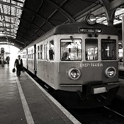 Zv�t�i