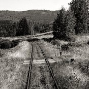 Zv�t�i