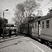 Zv�t�i