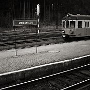 Zv�t�i