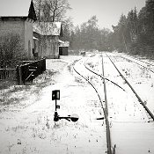 Zv�t�i