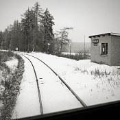 Zv�t�i