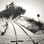 Zv�t�i