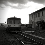 Zv�t�i