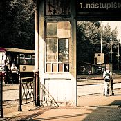 Zv�t�i