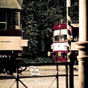 Zv�t�i
