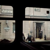 Zv�t�i
