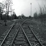 Zv�t�i