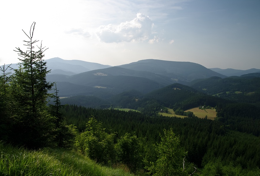 img00013.jpg
