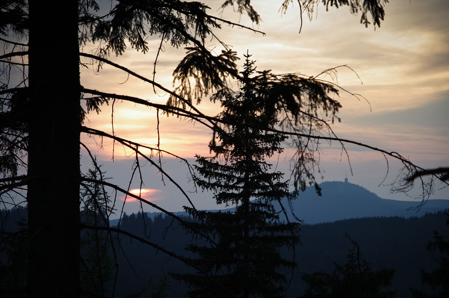 img00016.jpg