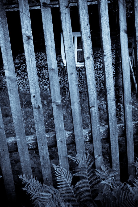 img00019.jpg