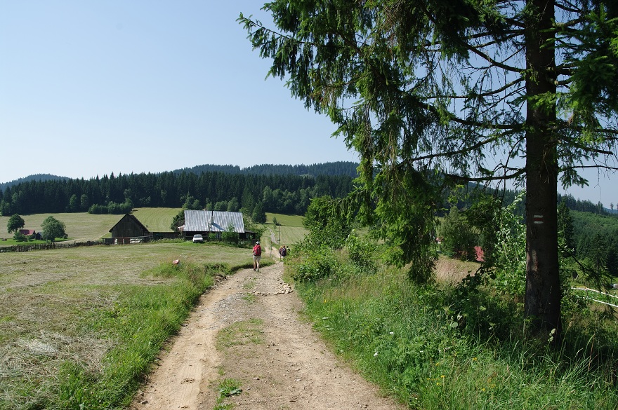 img00022.jpg