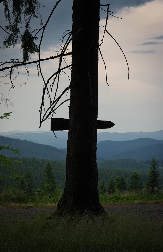 img00026.jpg