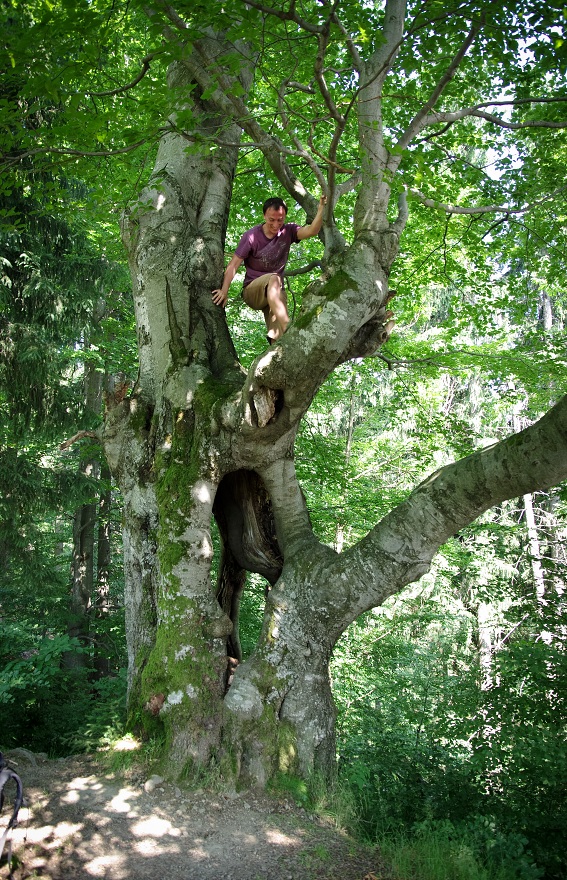 img00036.jpg