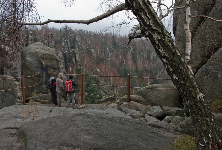 img00007.jpg