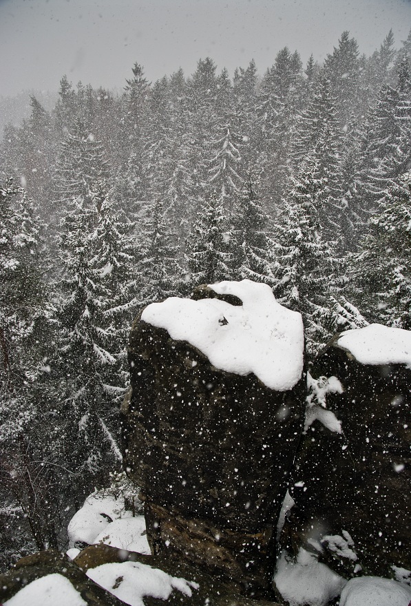 img00025.jpg