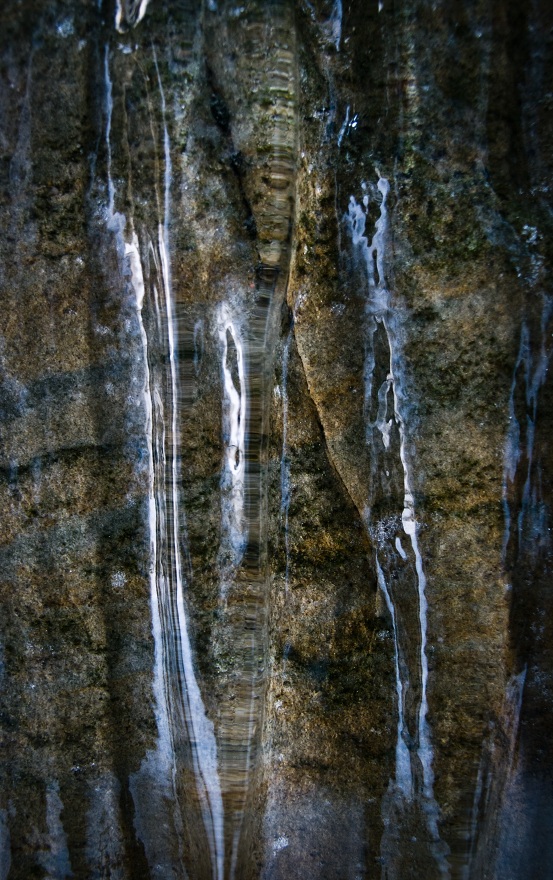 img00049.jpg