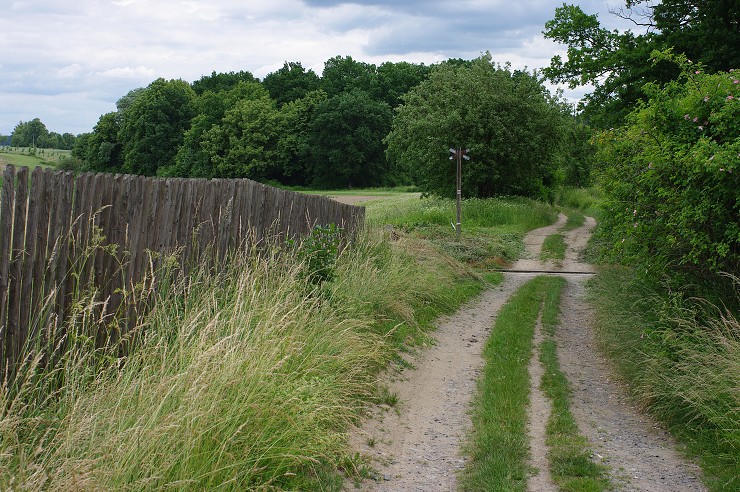 img00007.jpg