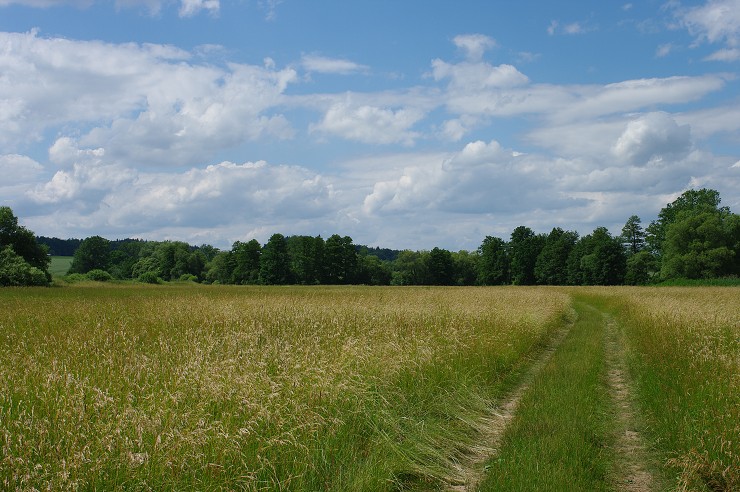 img00019.jpg