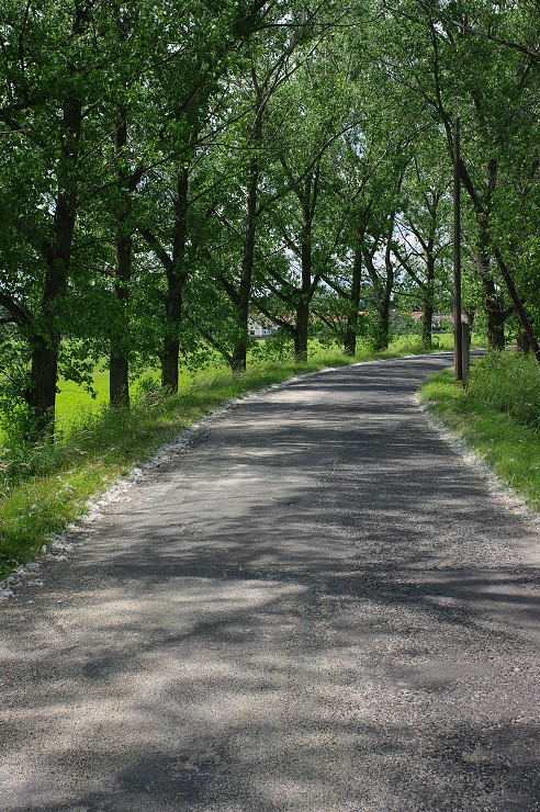 img00021.jpg