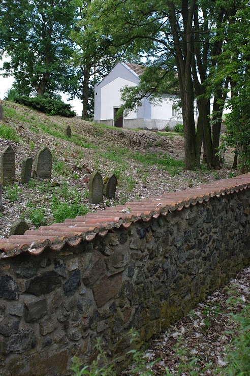 img00022.jpg