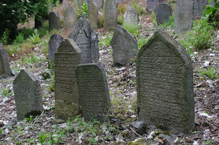 img00023.jpg