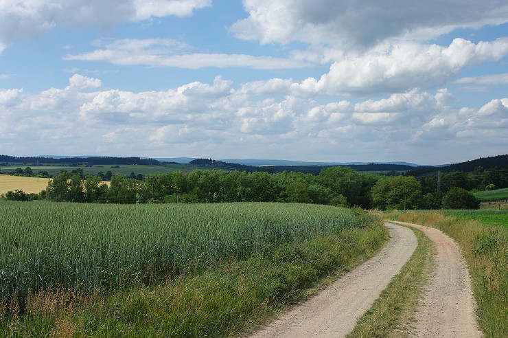 img00025.jpg