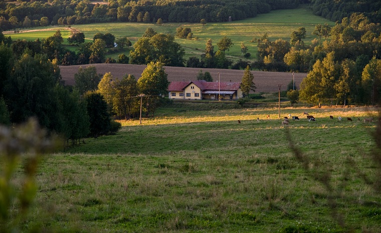 img00019.jpg