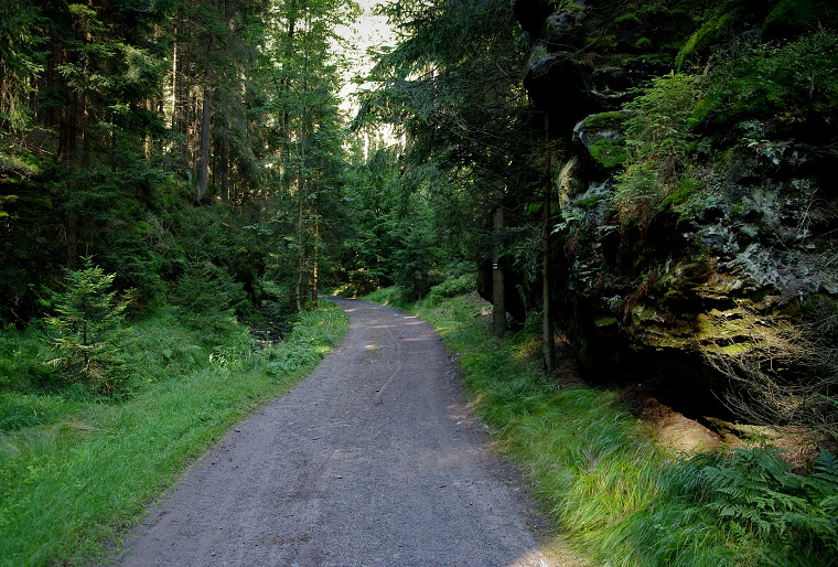 img00029.jpg