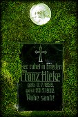 thn00034.jpg