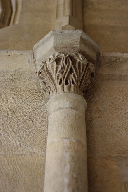 img00007.jpg