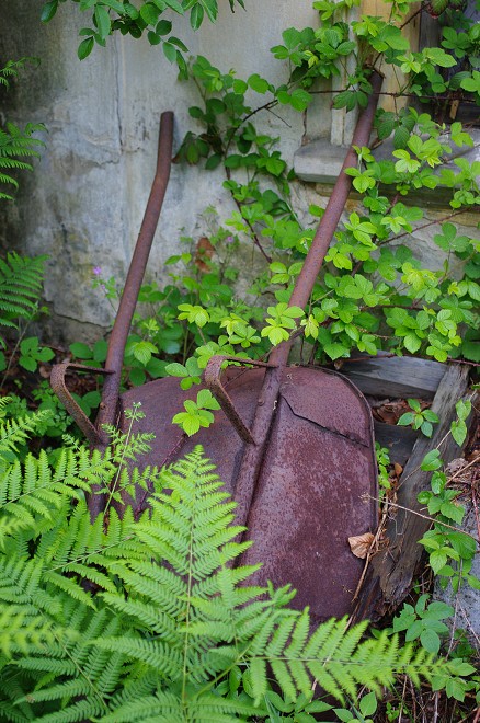 img00012.jpg