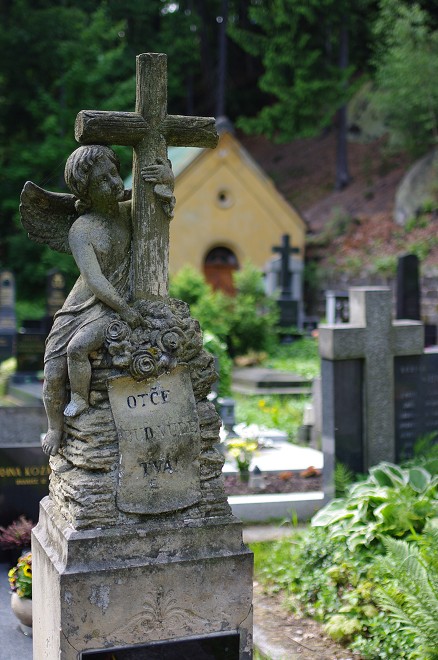 img00013.jpg