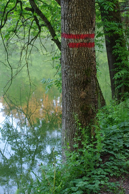 img00018.jpg