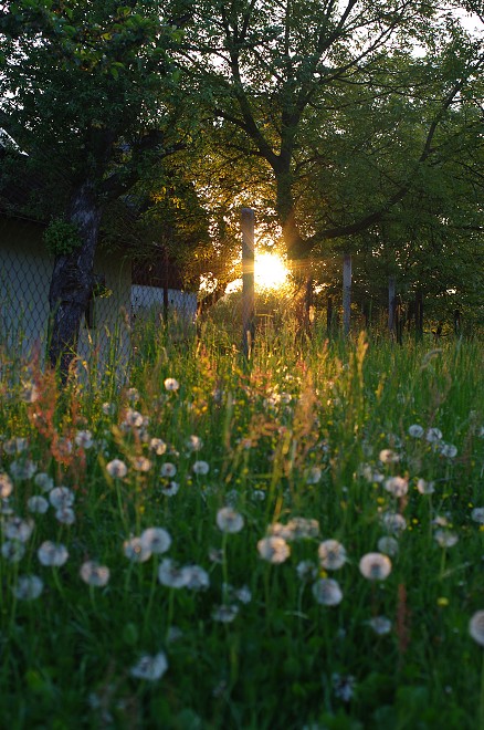 img00020.jpg