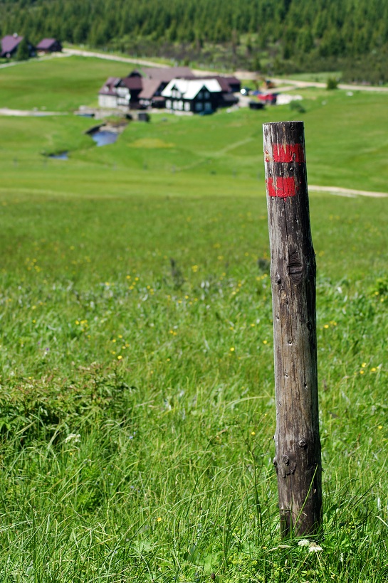 IMG32484.jpg