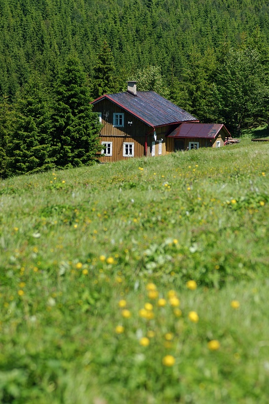 IMG32489.jpg