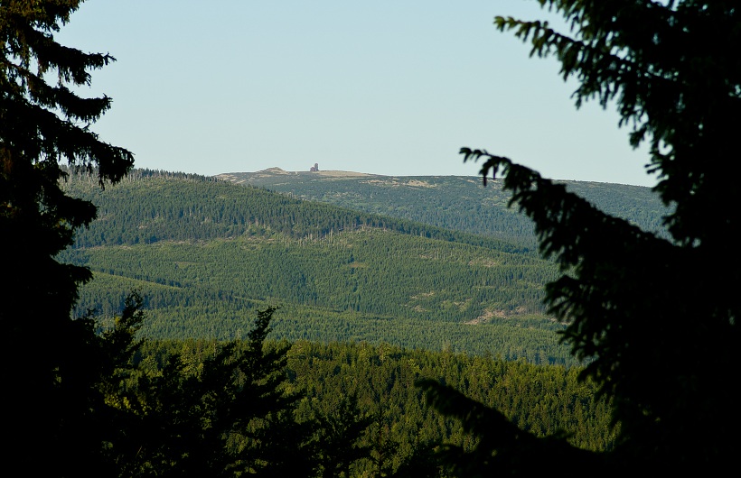 IMG32615.jpg