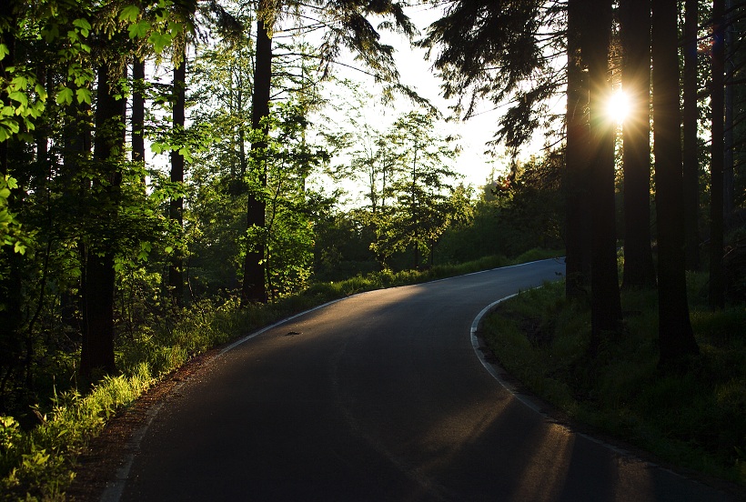IMG32623.jpg