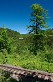 thn_IMG32450.jpg