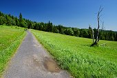 thn_IMG32465.jpg