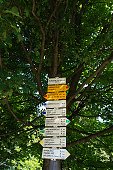 thn_IMG32709.jpg